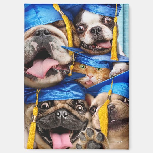 Aimant Dogs and Cat Grads in Photo Booth (Recto)