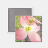 Aimant Dogwood rose (Recto/Verso)