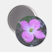 Aimant Dogwood rose (Recto/Verso)