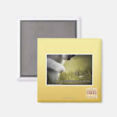 Aimant Dois-toi sur toi (Recto/Verso)