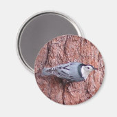 Aimant d'oiseau nuthatch blanc (Recto/Verso)