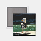 Aimant d'oiseaux de mer (Recto/Verso)