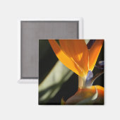 Aimant d'oiseaux de paradis (Recto/Verso)