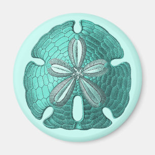 Aimant Dollar Aqua Sand