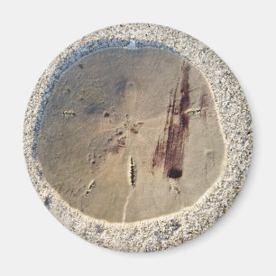 Aimant Dollar de sable