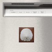 Aimant Dollar De Sable (In Situ (Lave-vaisselle))