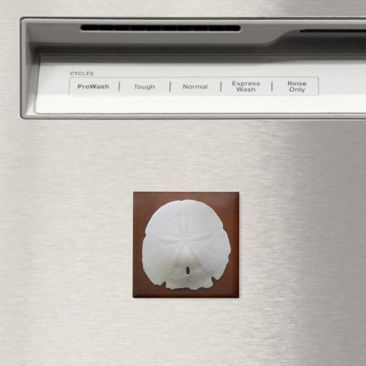 Aimant Dollar De Sable (In Situ (Lave-vaisselle))