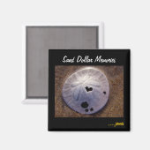 Aimant Dollar De Sable (Recto/Verso)