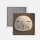 Aimant Dollar De Sable (Couleur) (Recto/Verso)