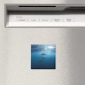 Aimant Dolphin Family (In Situ (Lave-vaisselle))