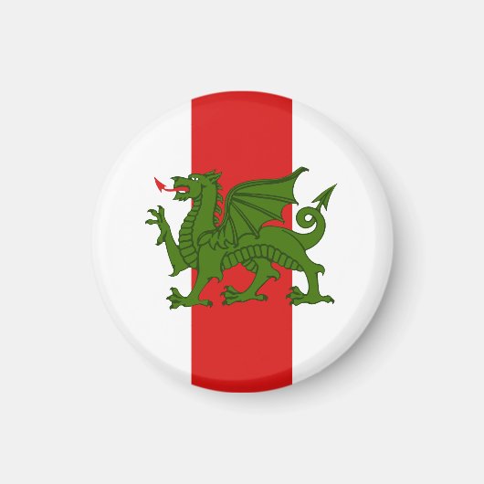 Aimant Domaine central SCA (Devant)