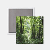 Aimant Dominicain Forêt de pluie II Vert tropical (Recto/Verso)