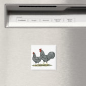 Aimant Dominique Chickens (In Situ (Lave-vaisselle))