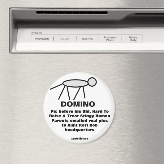 Aimant Domino (In Situ (Lave-vaisselle))