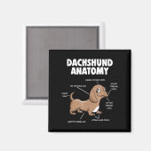 Aimant Don de chien | Anatomie Dachshund Funny Weiner (Recto/Verso)