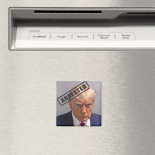 Aimant Donald Trump "arrêté" le magnat de la capture d'éc (In Situ (Lave-vaisselle))