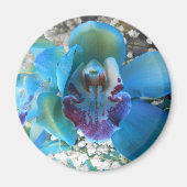 Aimant Donella (Devant)