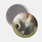 Aimant Donkey (Recto/Verso)