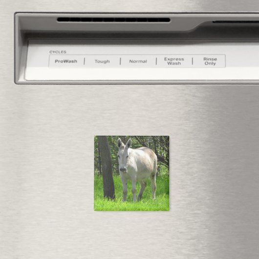 Aimant Donkey blanc doux par Tree Photography (In Situ (Lave-vaisselle))