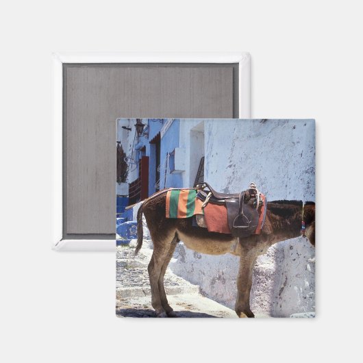 Aimant Donkey, Fira Santorini, Grèce (Recto/Verso)