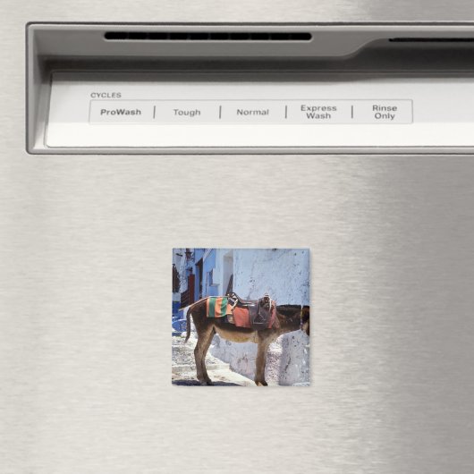 Aimant Donkey, Fira Santorini, Grèce (In Situ (Lave-vaisselle))