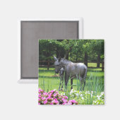 Aimant Donkey in Garden (Recto/Verso)