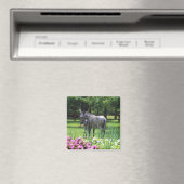 Aimant Donkey in Garden (In Situ (Lave-vaisselle))