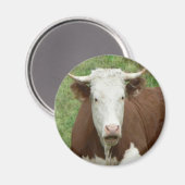 Aimant Donnez-leur l'oiseau pour l'action de grâces (Recto/Verso)