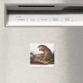 Aimant Dons Boodchuck Camping Deco (In Situ (Lave-vaisselle))