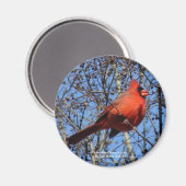 Aimant Dons cardinaux de la Promenade des sources chaudes (Recto/Verso)