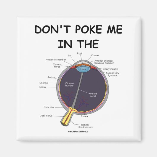 Aimant Dont Ke Me In The Eye Eye Anatomy Attitude  (Devant)