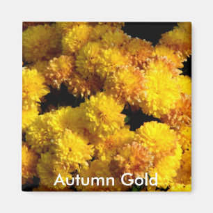 Aimant d'or d'automne