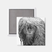 Aimant d'Orangoutan (Recto/Verso)