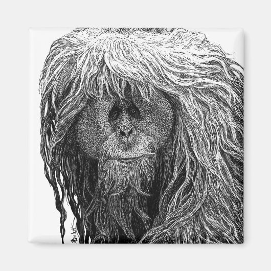 Aimant d'Orangoutan (Devant)