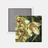 Aimant d'orchidées de cymbidium (Recto/Verso)