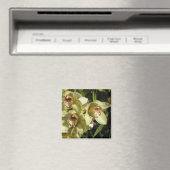 Aimant d'orchidées de cymbidium (In Situ (Lave-vaisselle))