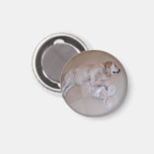 Aimant Dormant Golden Retriever (Recto/Verso)