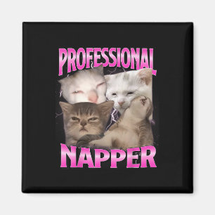 Aimant Dormeuse Professionnelle Chat Drôle Endormi Chats