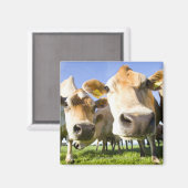 Aimant Dorset, UK (Recto/Verso)