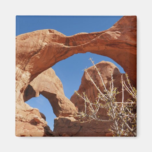 Aimant Double Arche à Arches National Park (Devant)