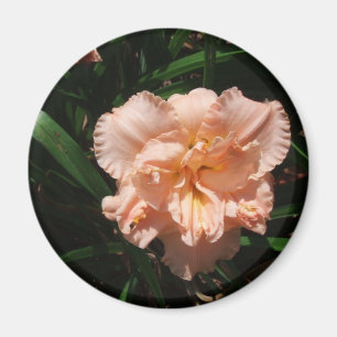 Aimant Double Daylily