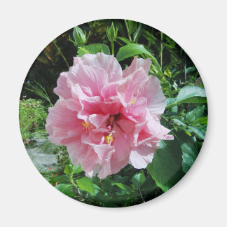 Aimant double Hibiscus rose