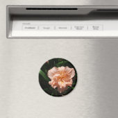 Aimant Double jour (In Situ (Lave-vaisselle))