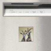 Aimant Double problème (In Situ (Lave-vaisselle))