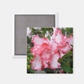 Aimant Double rouge et blanc Azaleas printemps floral (Recto/Verso)