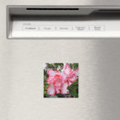 Aimant Double rouge et blanc Azaleas printemps floral (In Situ (Lave-vaisselle))
