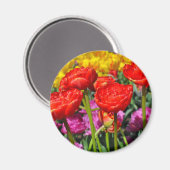 Aimant Double tulipe rouge (Recto/Verso)