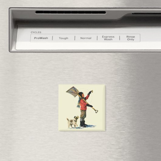 Aimant Douche à neige (In Situ (Lave-vaisselle))