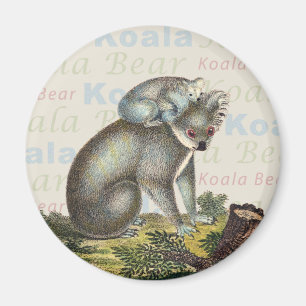 Aimant d'ours de koala