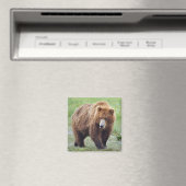 Aimant D'OURS GRIZZLY (In Situ (Lave-vaisselle))